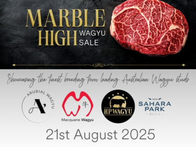Marble High Wagyu Sale