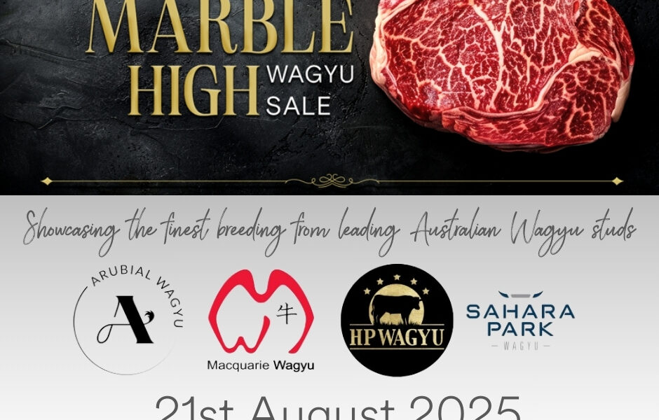 Marble High Wagyu Sale