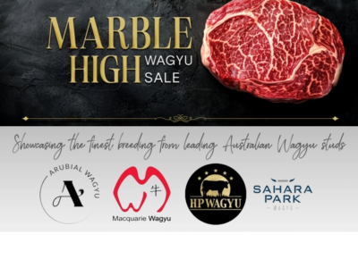 2025 Marble High Wagyu Sale