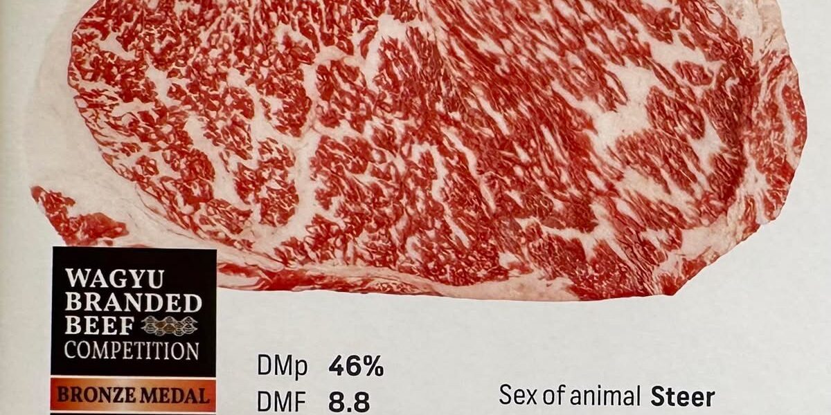 Embryos by JAC Wagyu M47 - JACFM16045 x DARLEY OKUTANI YAZU ET - DSAFM6915