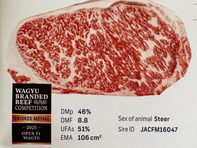 Embryos by JAC Wagyu M47 - JACFM16045 x DARLEY OKUTANI YAZU ET - DSAFM6915