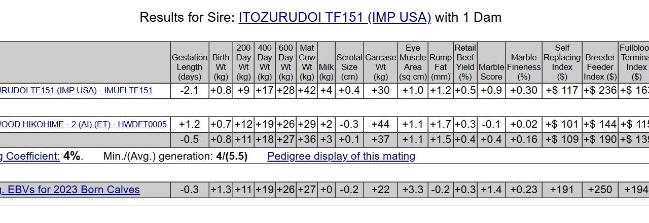 ITOZURUDOI TF151 (IMP USA) IMUFLTF151 x Harwood Hikohime - 2 - HWDFT0005