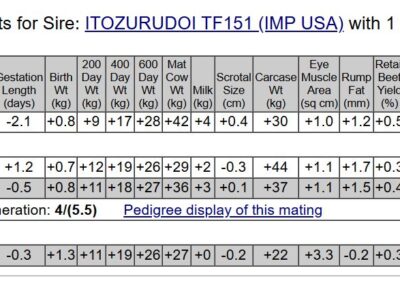 ITOZURUDOI TF151 (IMP USA) IMUFLTF151 x Harwood Hikohime - 2 - HWDFT0005