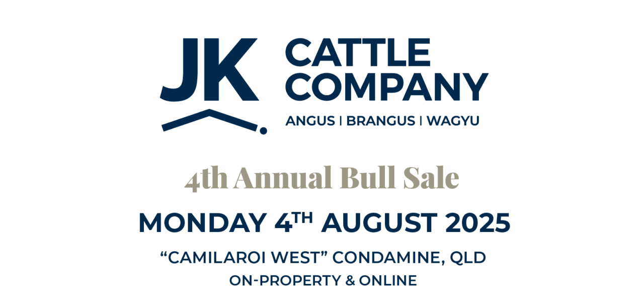 JK Cattle Company Bull Sale
