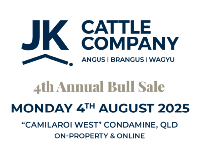 JK Cattle Company Bull Sale