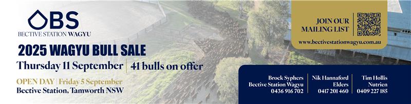 Bective Station Wagyu Bull Sale